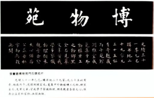 1684489902764.png