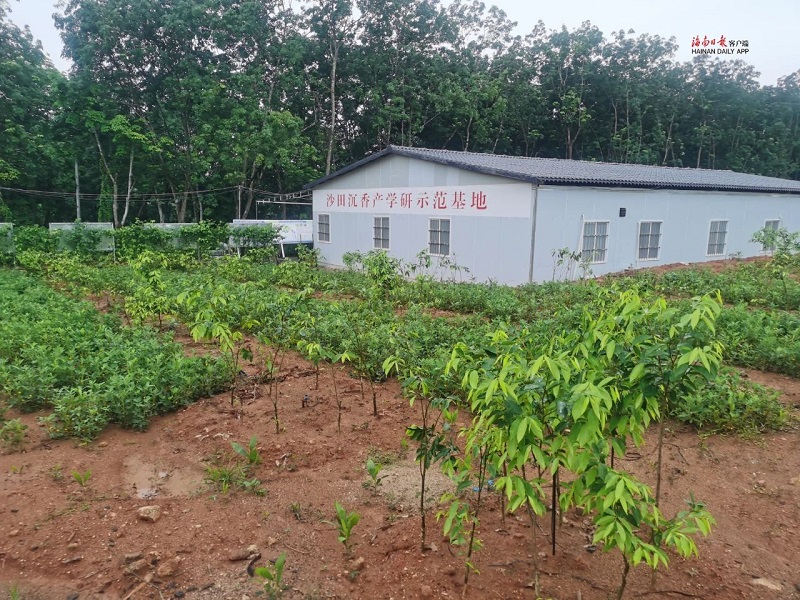 微信图片_20230925110223.jpg