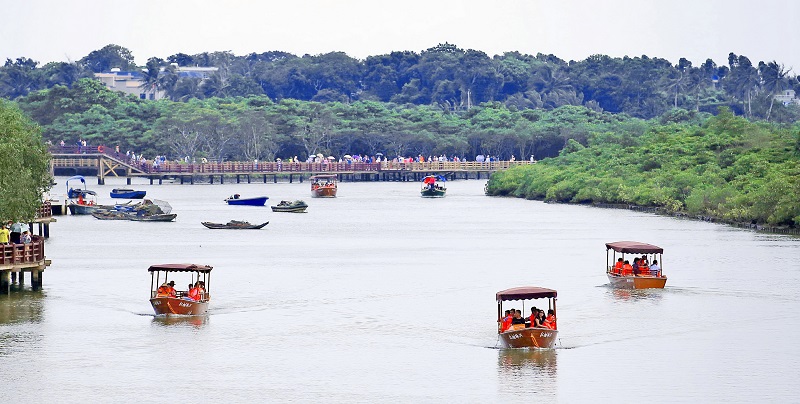 海口红树林乡村旅游区.jpg