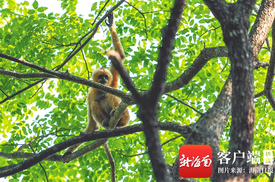 1763427740437701.jpg b938bcbde3b58bd68cee11410d4befde_IMG_5c07dc6147e54820bb130aa151cae41e.jpg